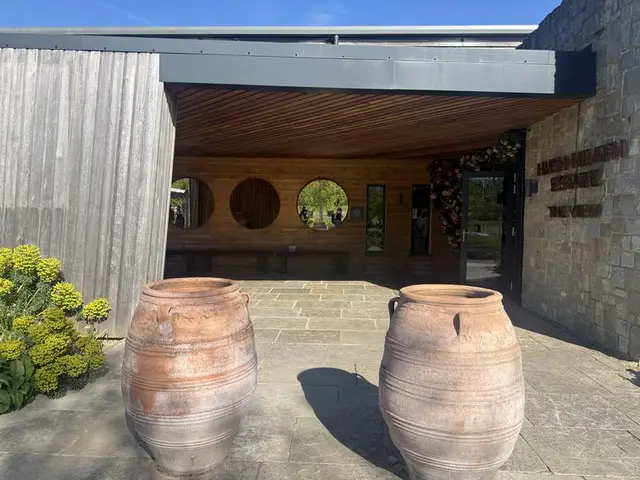 Balfour Winery (Hush Heath Estate) vineyard, Staplehurst/Tonbridge, Kent