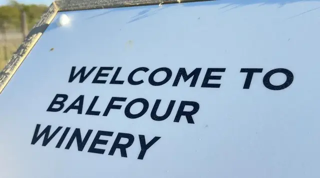 Balfour Winery (Hush Heath Estate) vineyard, Staplehurst/Tonbridge, Kent
