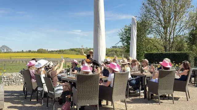 Squerryes vineyard, Westerham, Kent